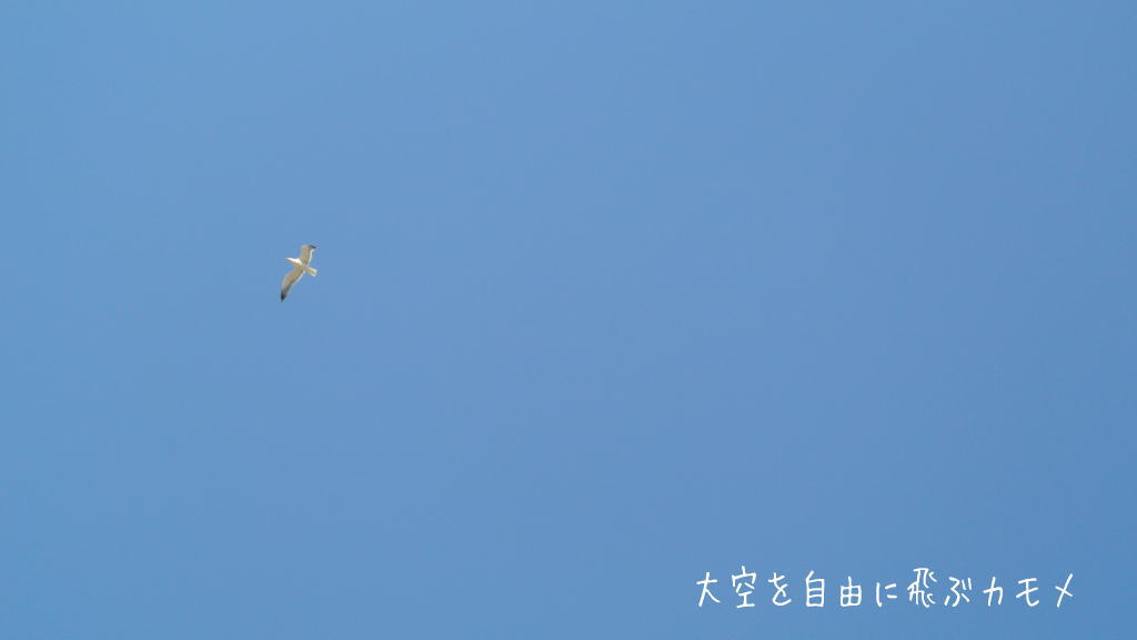 借金からの解放・脱却イメージ画像